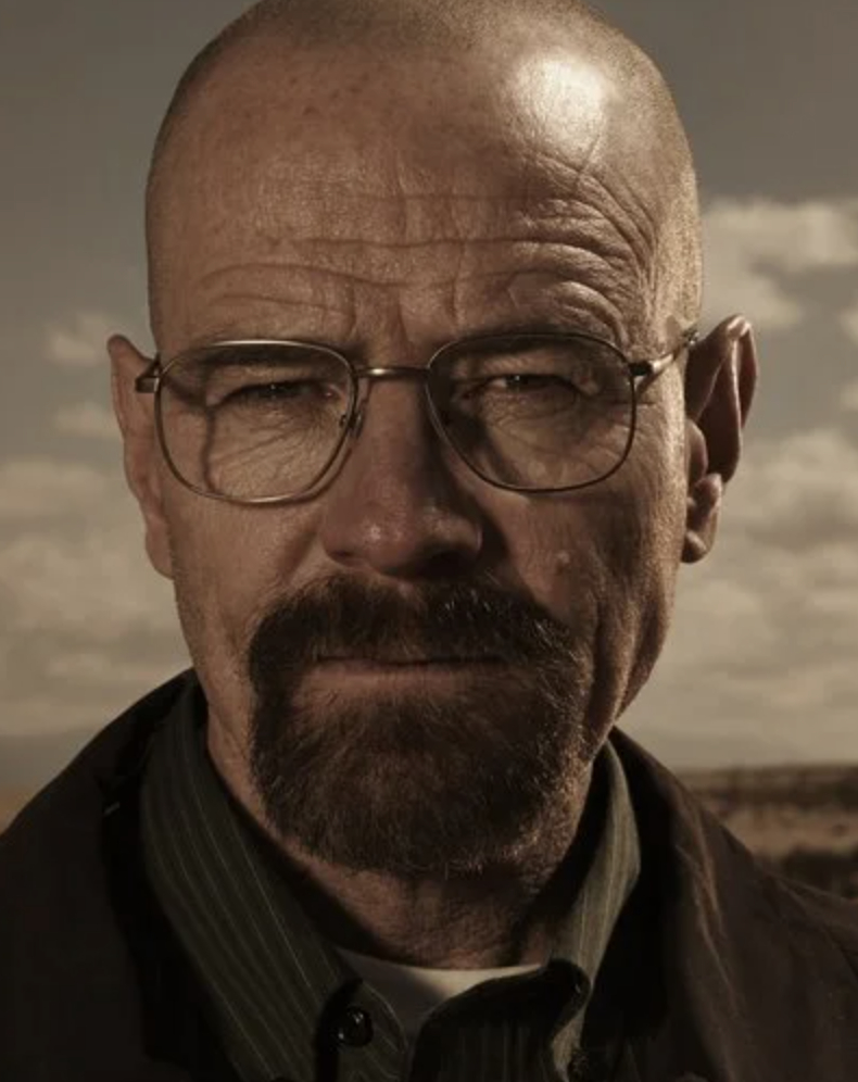 bryan cranston bald with beard