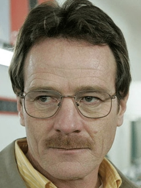 bryan cranston hair and moustache