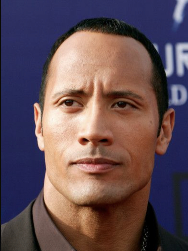 dwayne johnson with hair